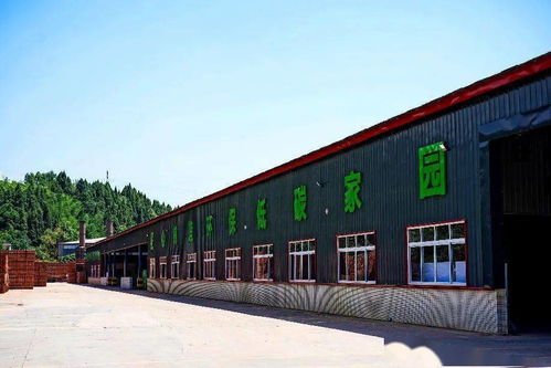 四川建园建材公司 园林式砖厂，颠覆传统建材行业